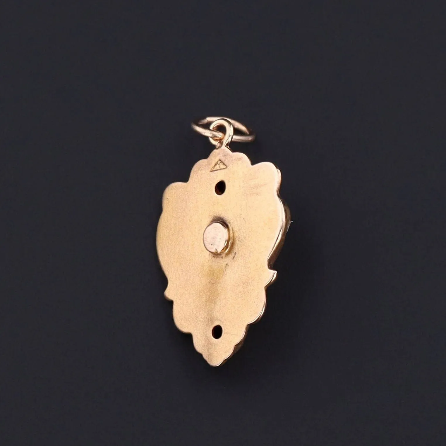 Antique Lion Charm | Pin Conversion