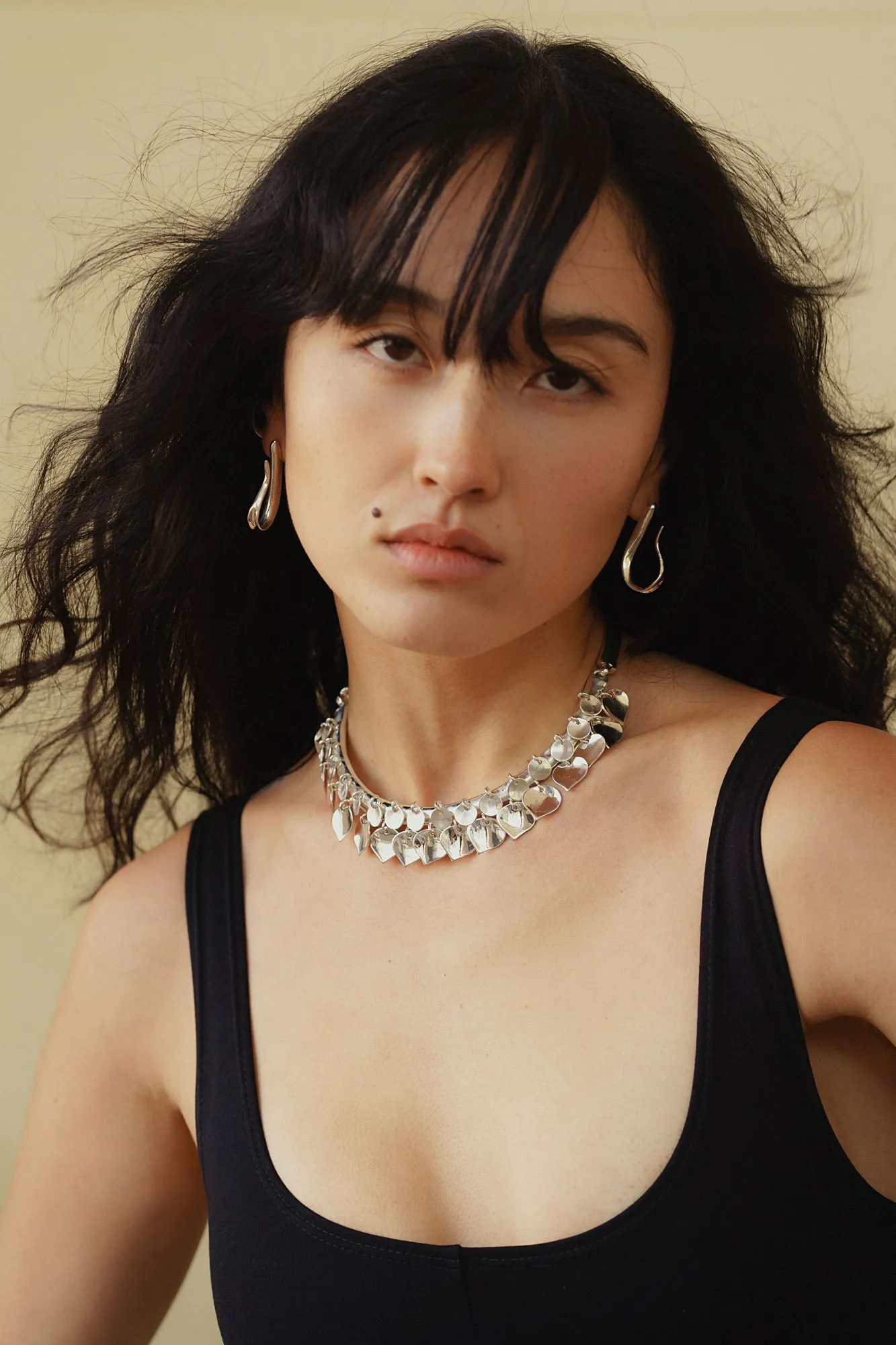 Aspen Collar Necklace