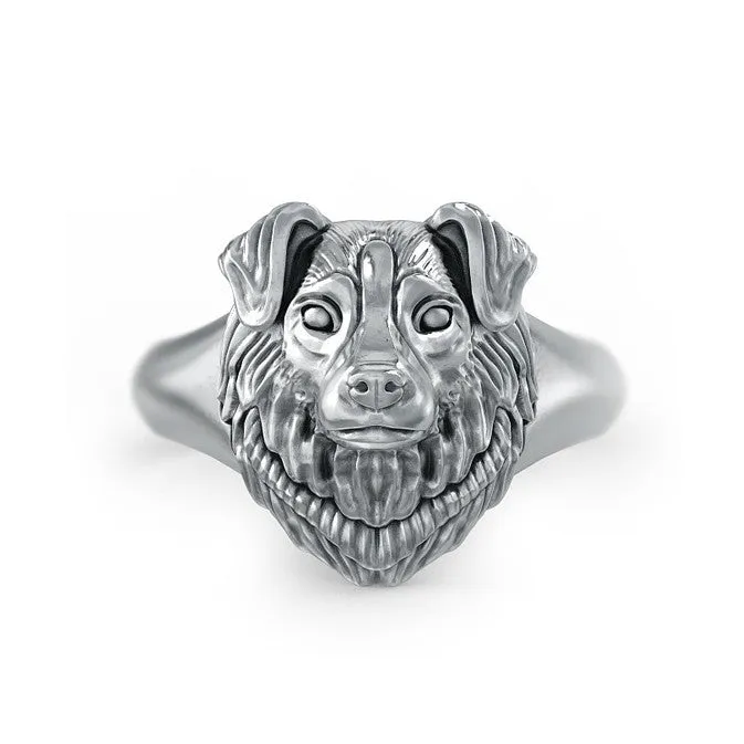 Australian Shepherd Dog Breed Face Ring