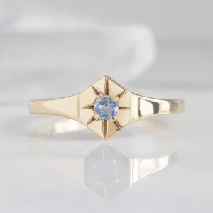 Custom Moonstone Birthstone Signet Ring | 10K Yellow Gold