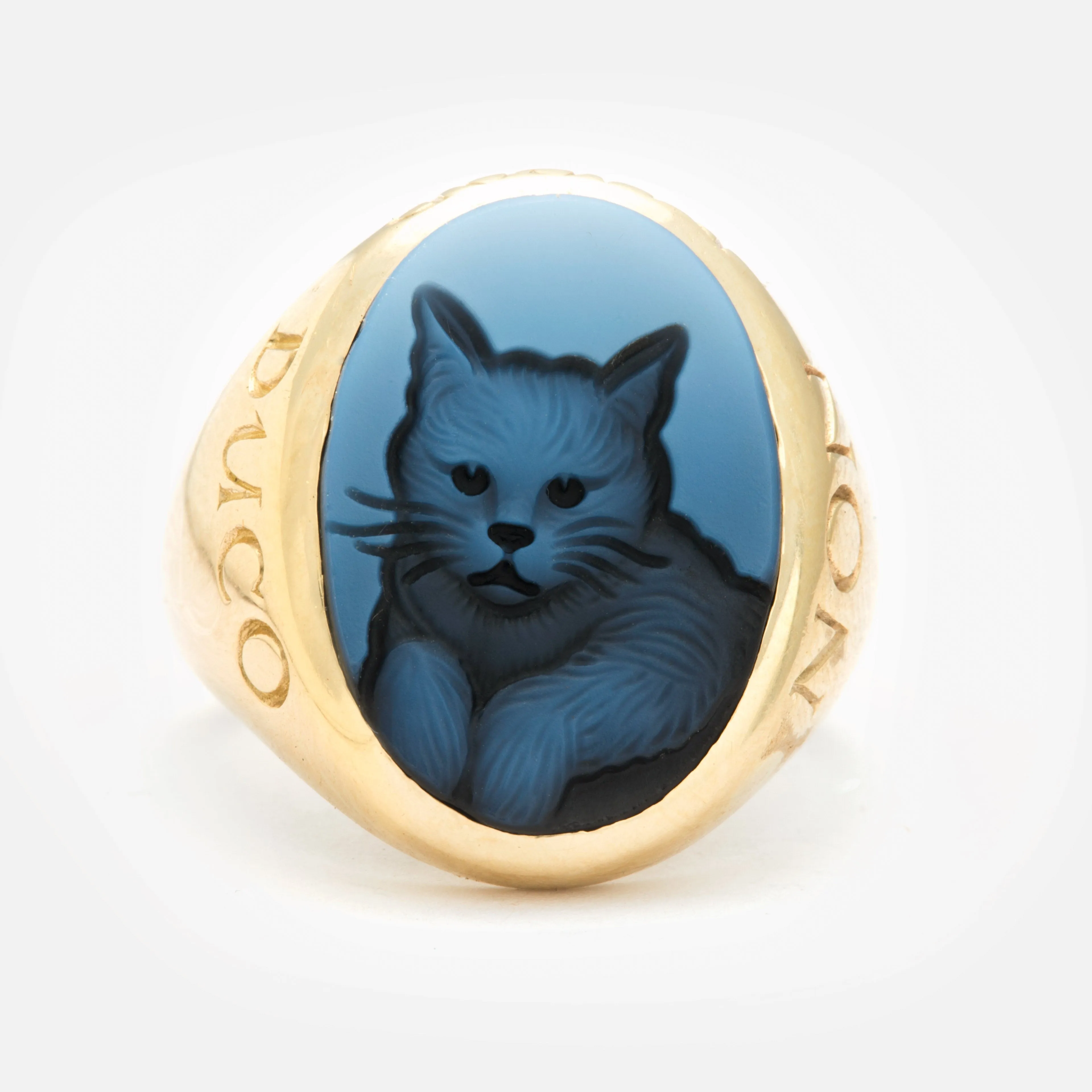 Kitty Cat Non Ducor Duco