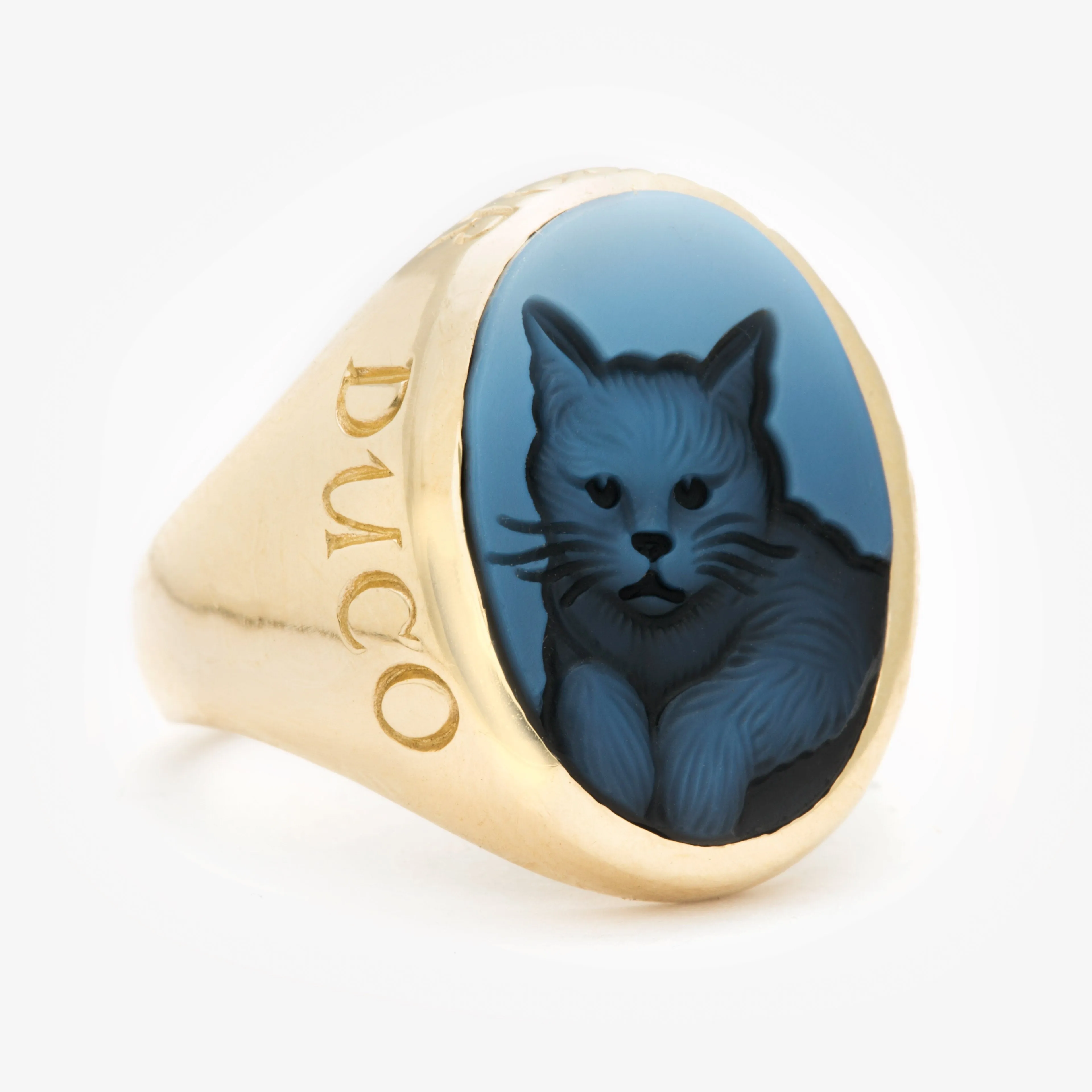 Kitty Cat Non Ducor Duco