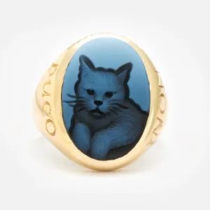 Kitty Cat Non Ducor Duco