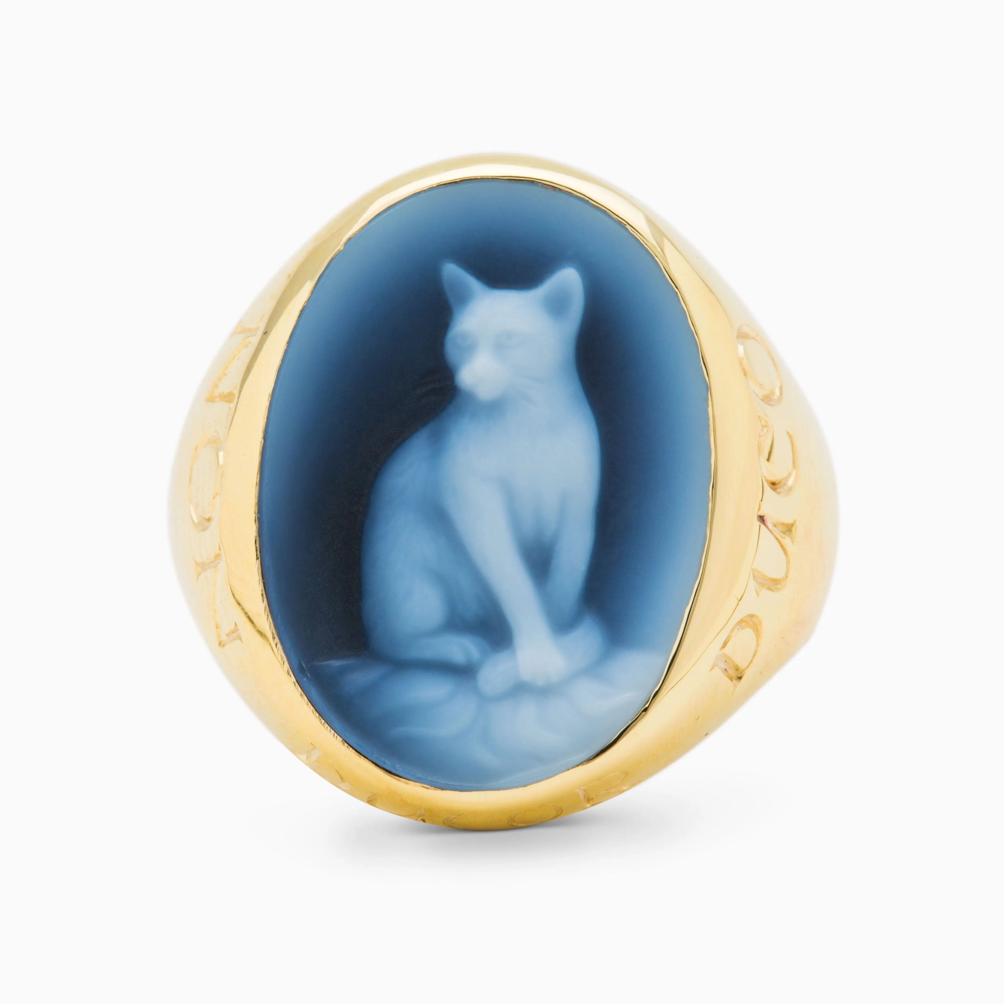 Kitty Cat Non Ducor Duco