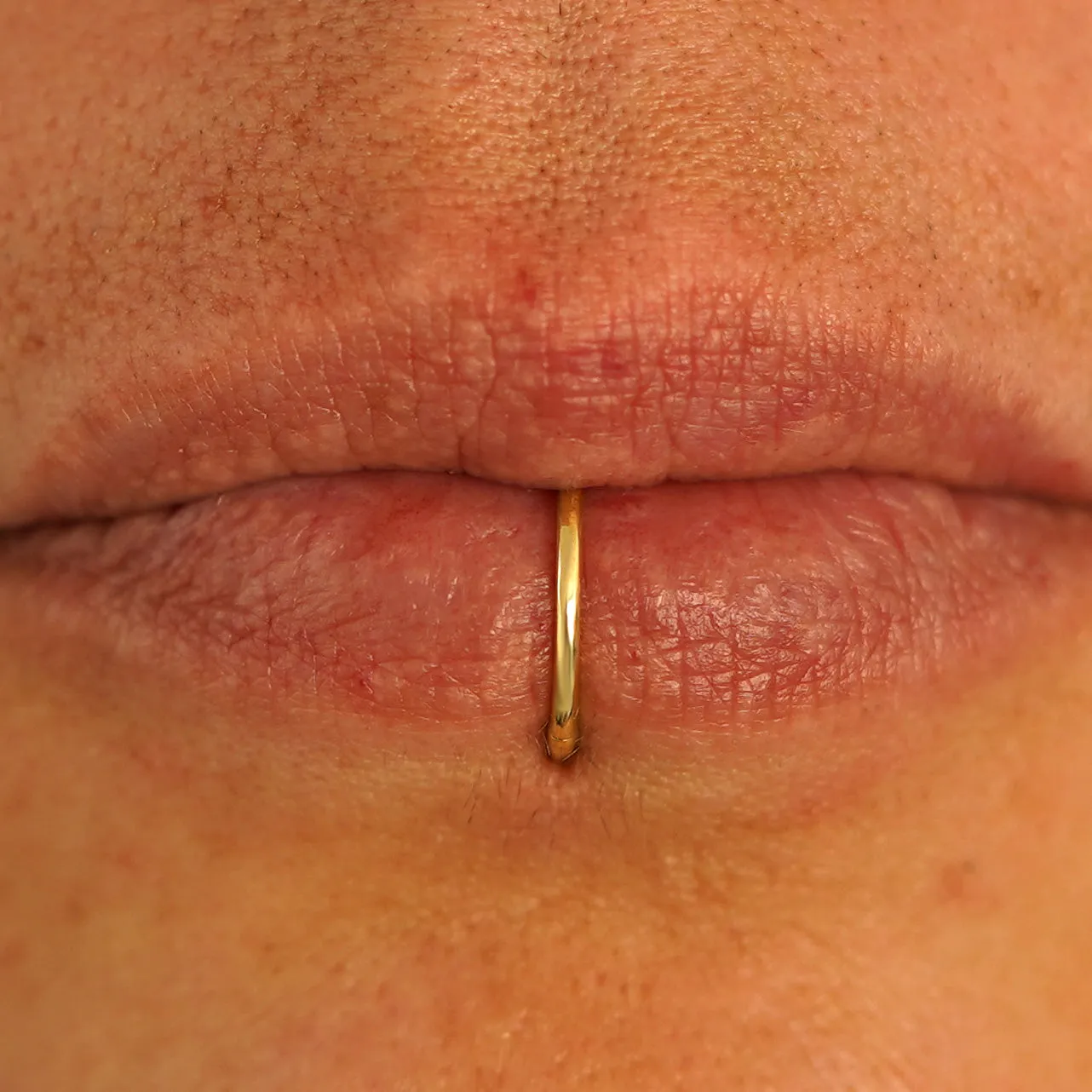 Medium Seamless Huggie Hoops / Piercing