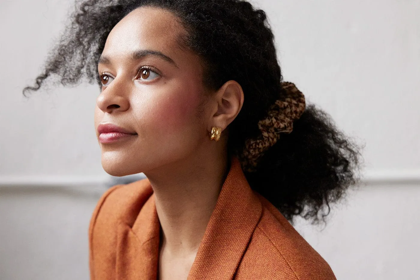 Olympia Hoop Earrings - 18K Vermeil