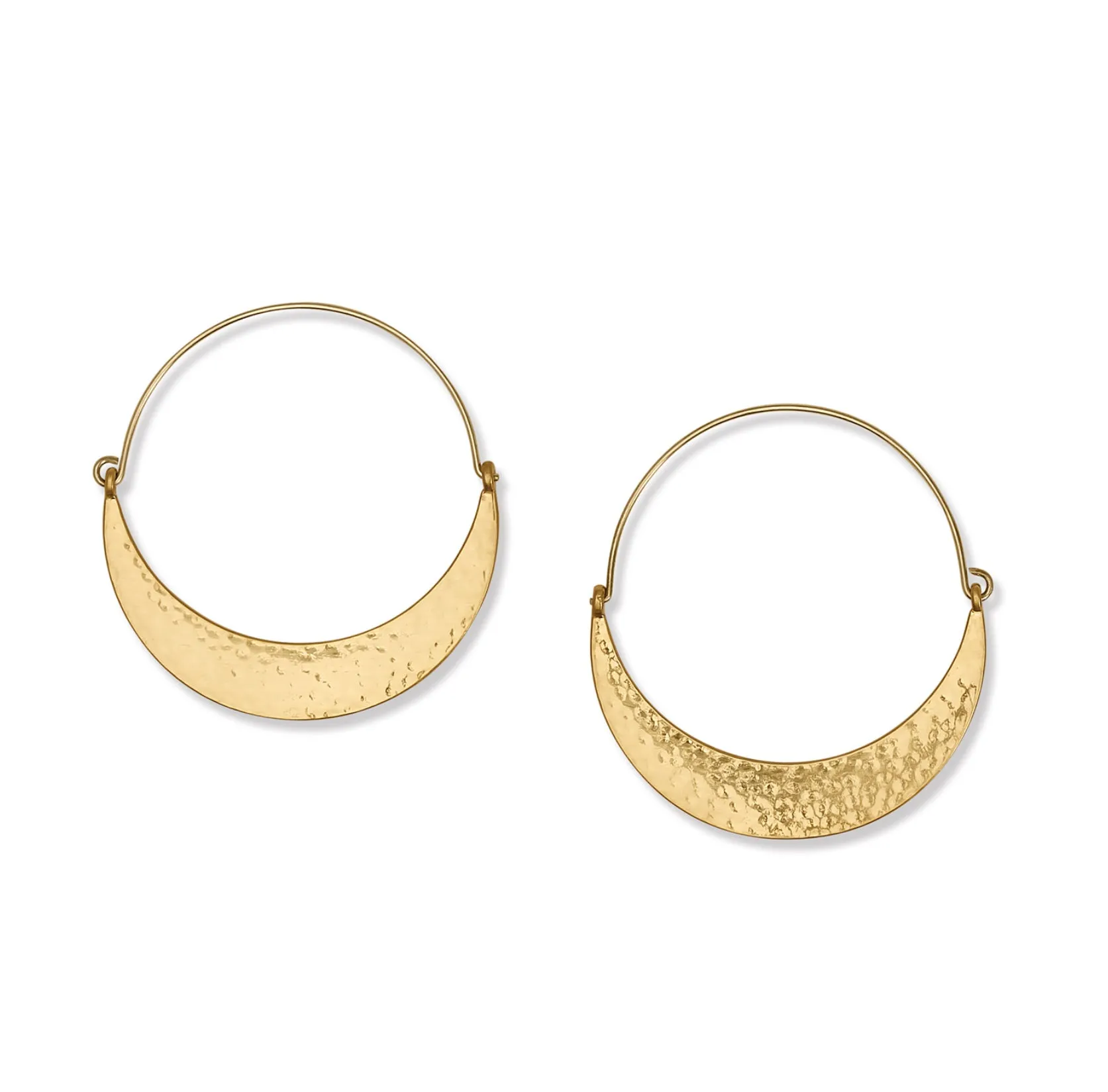 Palm Canyon Gold Hoop Earring