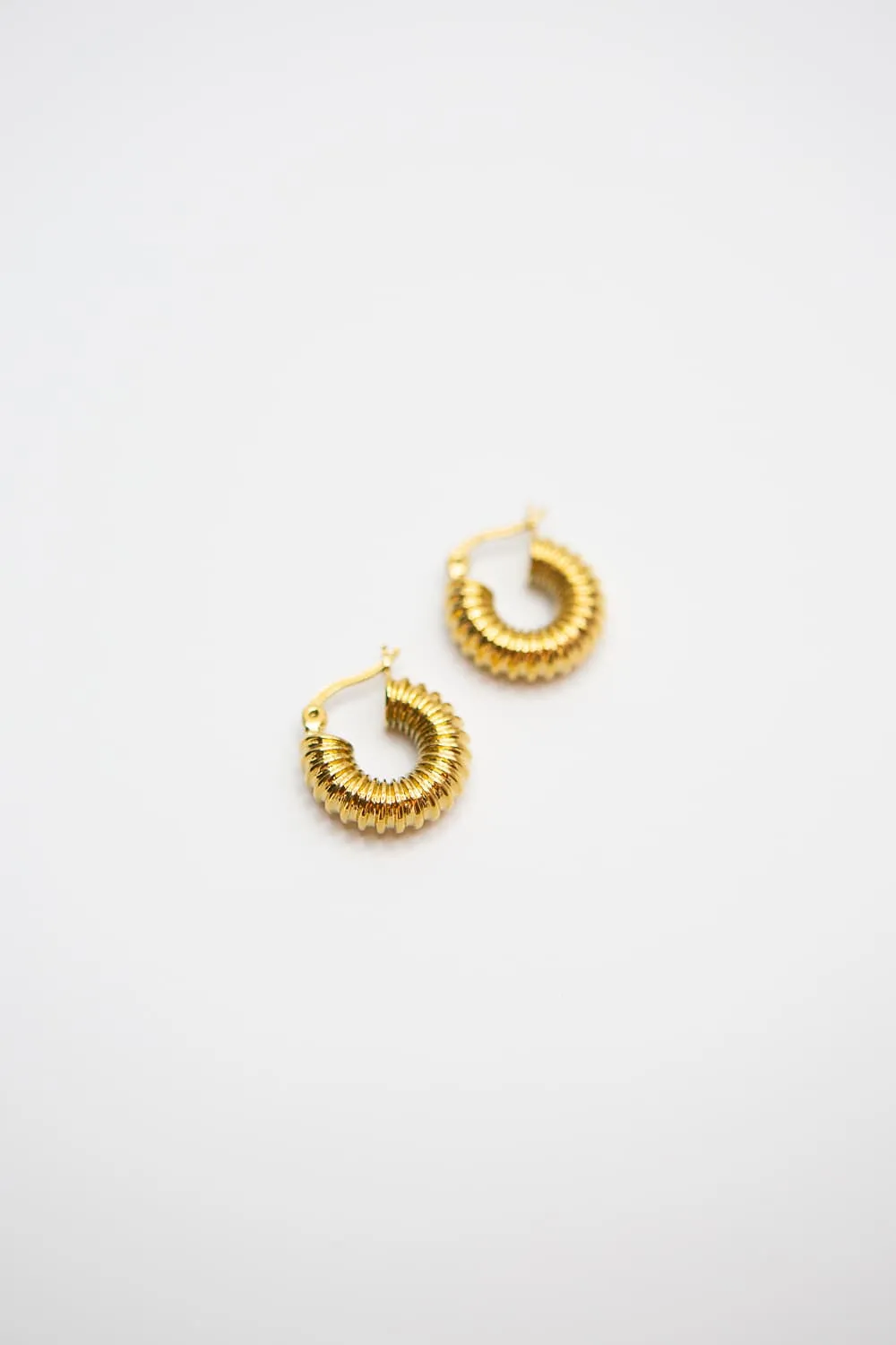 Small Gold Ribbed Vacuum Hoops