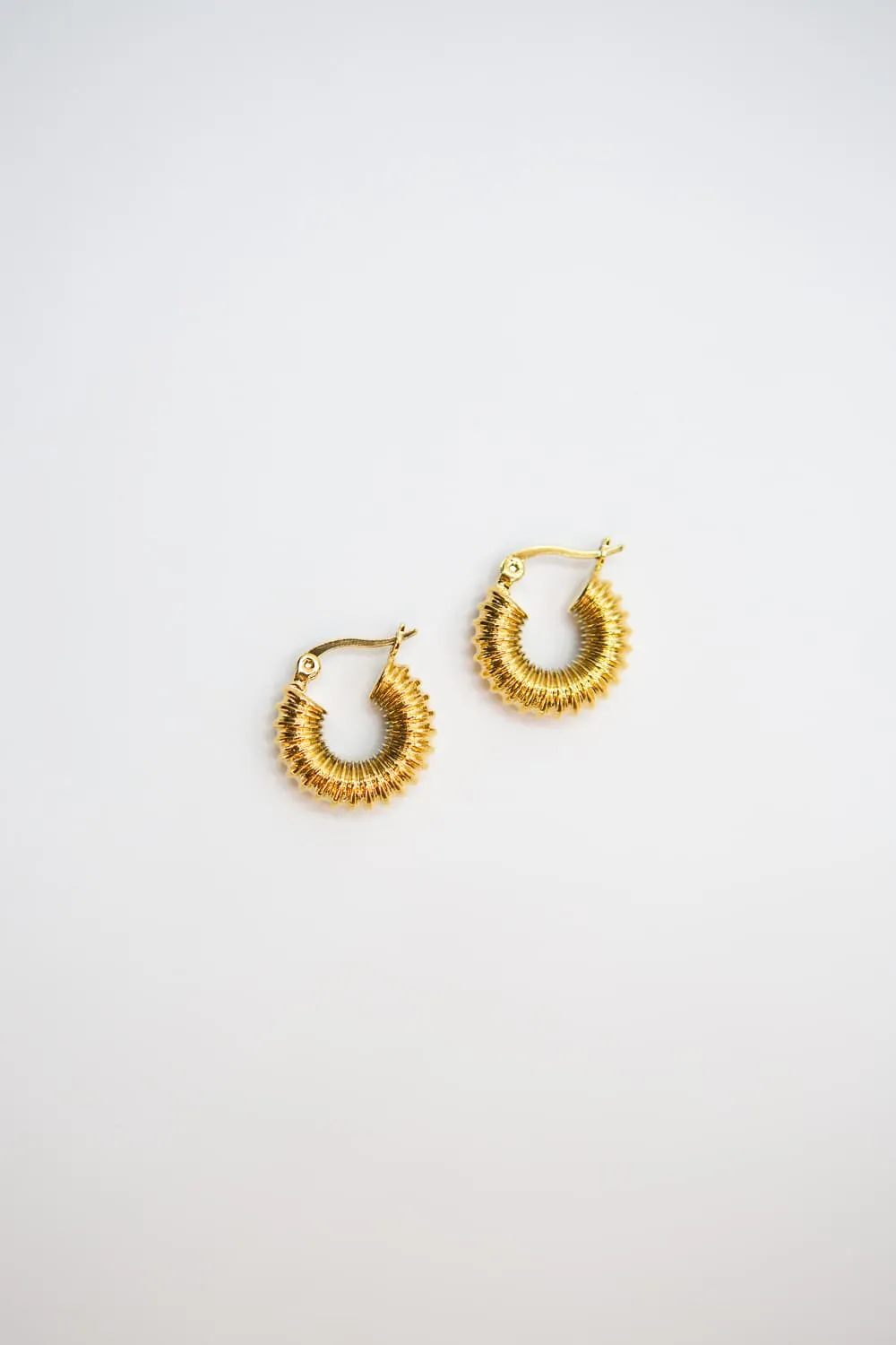Small Gold Ribbed Vacuum Hoops